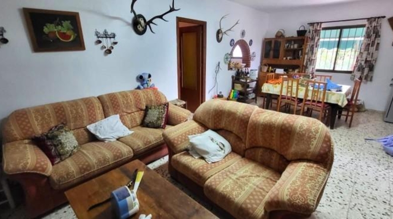 Málaga - Estepona - 3093m2