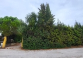 Casa de camp amb terreny en venda a la España, Estepona, ref.: TR151782 foto