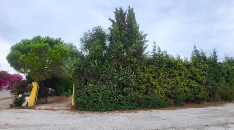 Málaga - Estepona - 3093m2
