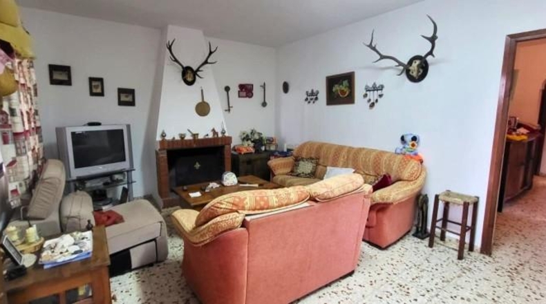 Málaga - Estepona - 3093m2