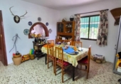 Casa de camp amb terreny en venda a la España, Estepona, ref.: TR151782 foto