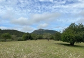 Chalet independiente con terreno en venta en la España, Algaida, ref: TR159064 foto