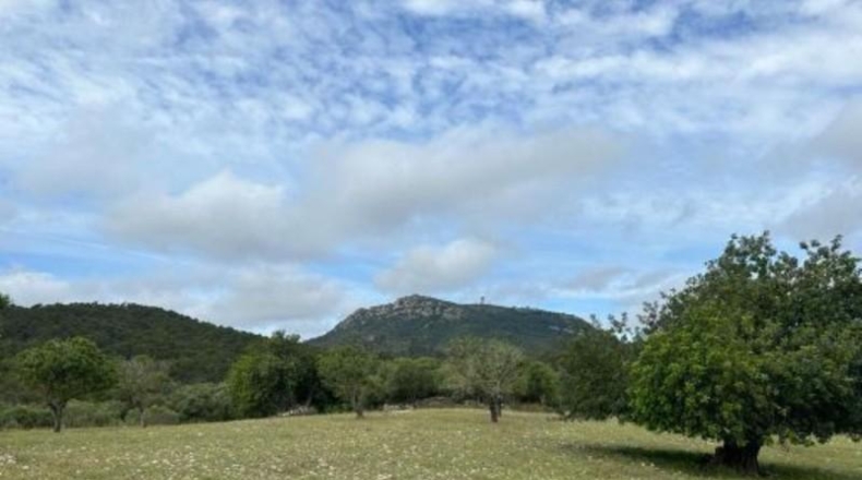 Islas Baleares - Algaida - 54000m2