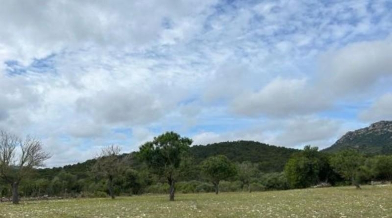 Islas Baleares - Algaida - 54000m2