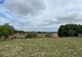 Chalet independiente con terreno en venta en la España, Algaida, ref: TR159064 foto