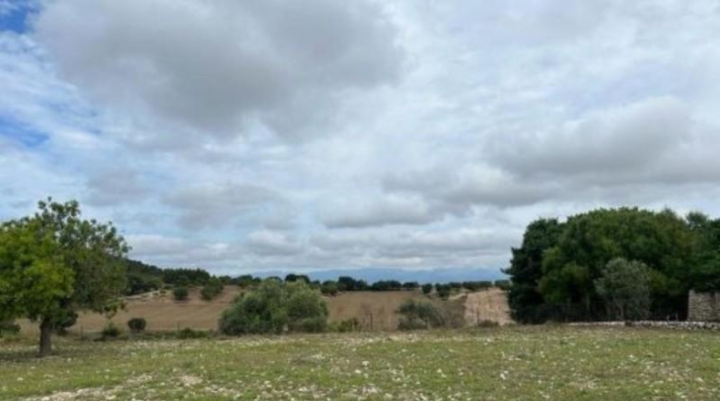 Islas Baleares - Algaida - 54000m2