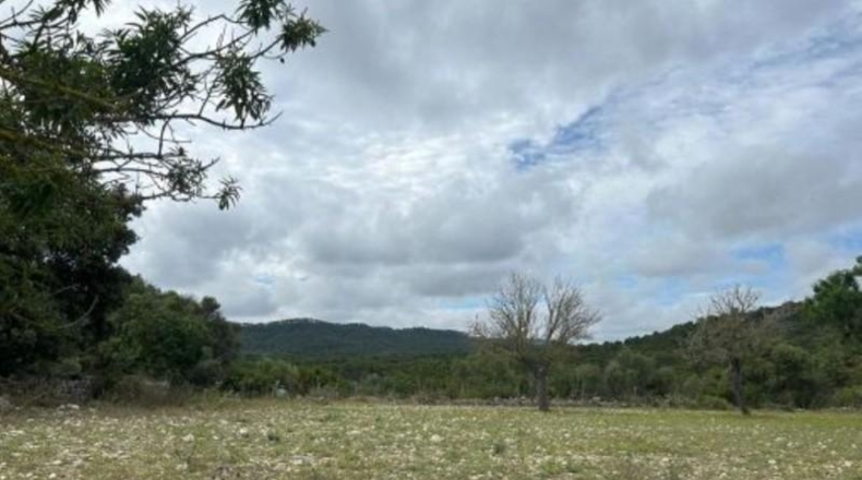 Islas Baleares - Algaida - 54000m2