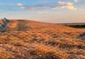 Terreny no urbanitzable en venda a la España, Paracuellos de Jarama, ref.: TR126522 foto