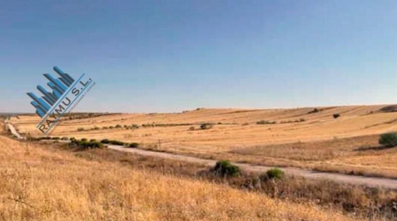 Comunidad de Madrid - Paracuellos de Jarama - 17713m2