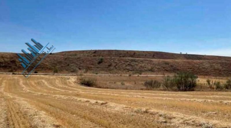 Comunidad de Madrid - Paracuellos de Jarama - 17713m2