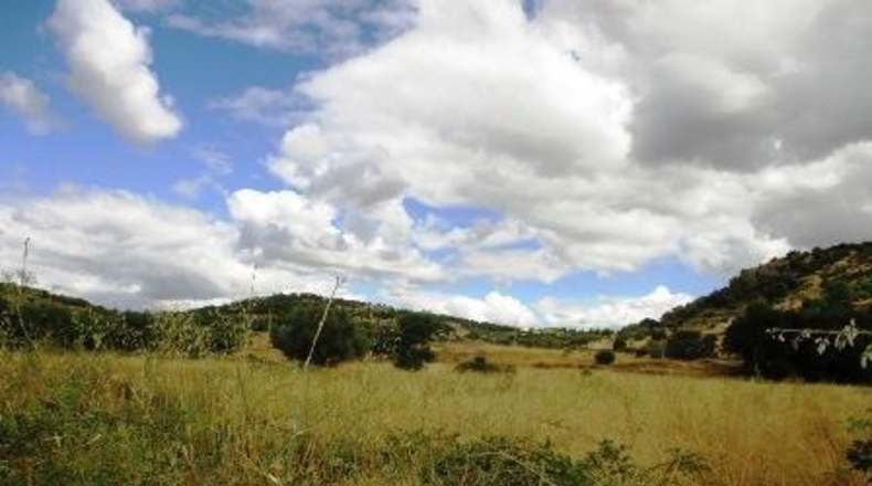 Ávila - Cebreros - 20043m2