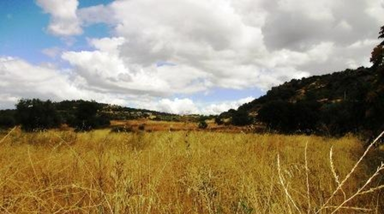 Ávila - Cebreros - 20043m2