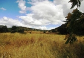 Parcela urbanizable en venta en la España, Cebreros, ref: TR112889 foto