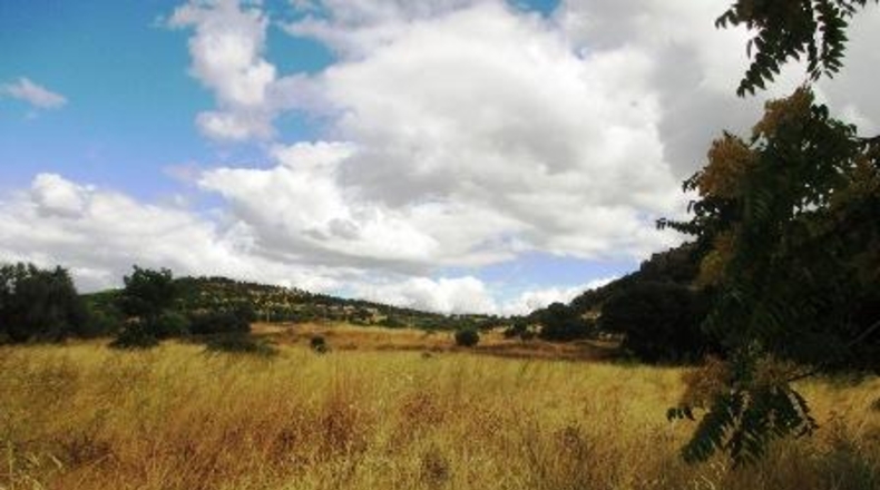 Ávila - Cebreros - 20043m2