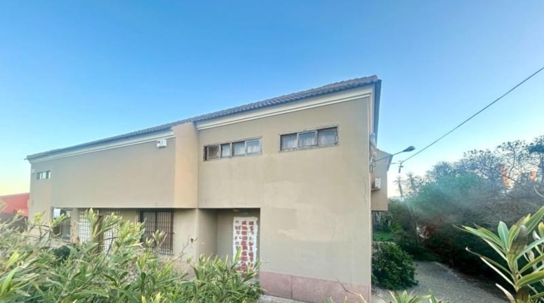 Alicante - Torrevieja - 1100m2