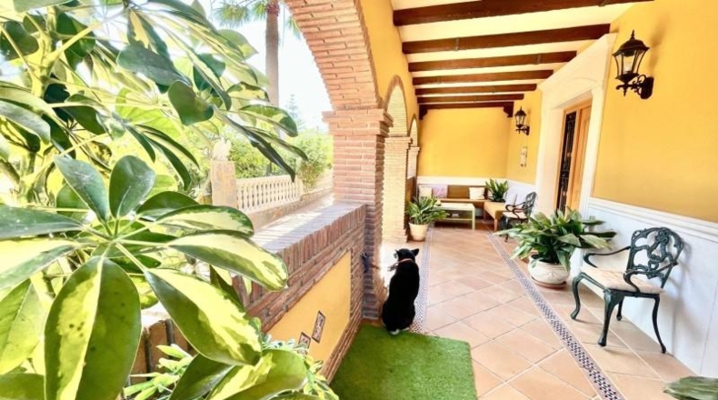 Málaga - Алаурин-де-ла-Торре - 2210m2