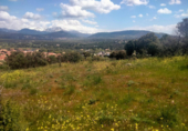 Urban land for sale on España, Guadarrama, ref: TR117712 photo