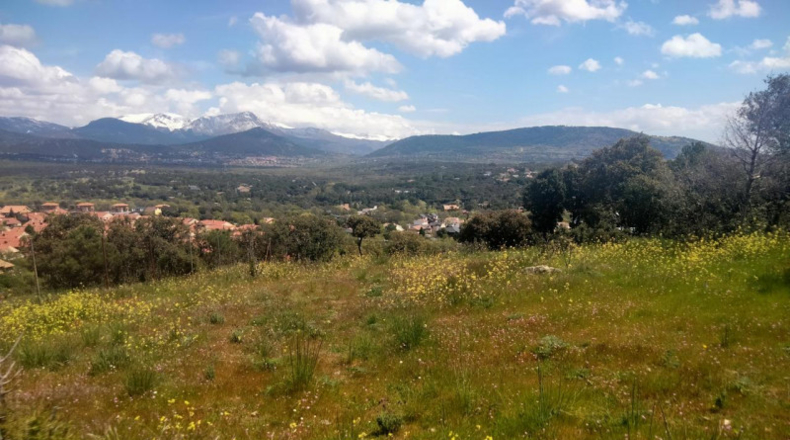 Comunidad de Madrid - Guadarrama - 5500m2