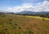 Urban land for sale on España, Guadarrama, ref: TR117712 photo