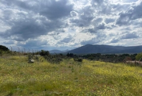 Guadarrama 5500&nbsp;m² 