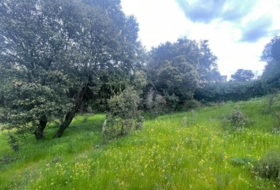 Guadarrama 5500&nbsp;m² 