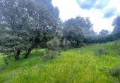 Urban land for sale on España, Guadarrama, ref: TR117712 photo