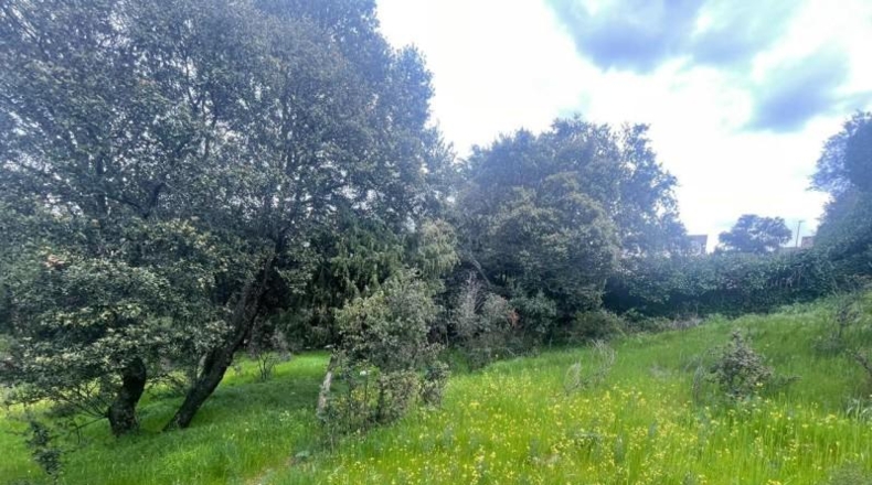 Comunidad de Madrid - Guadarrama - 5500m2