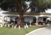 Xalet independent amb terreny en venda a la España, Arcos de la Frontera, ref.: TR145799 foto