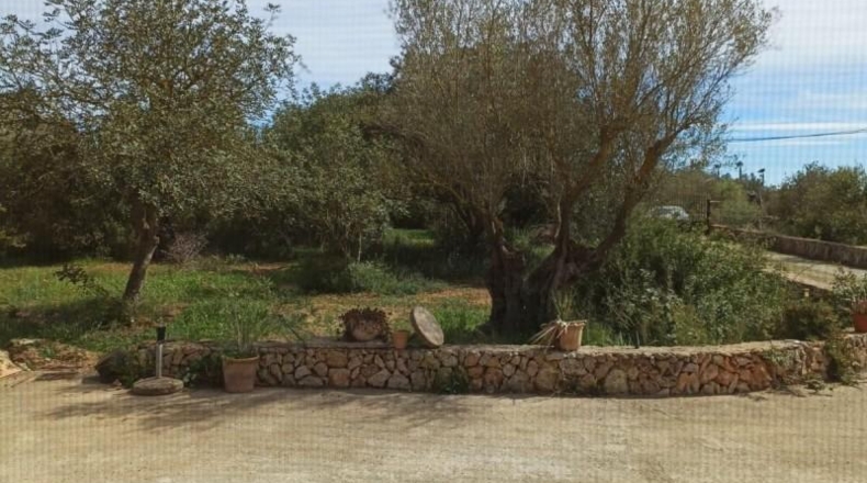 Islas Baleares - Manacor - 7281m2