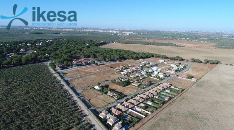 Sevilla - Bollullos de la Mitación - 8502m2