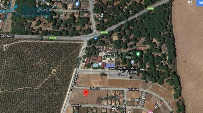 Sevilla - Bollullos de la Mitación - 8502m2