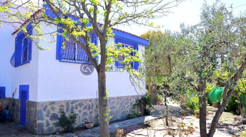 Alicante - Villajoyosa - 825m2