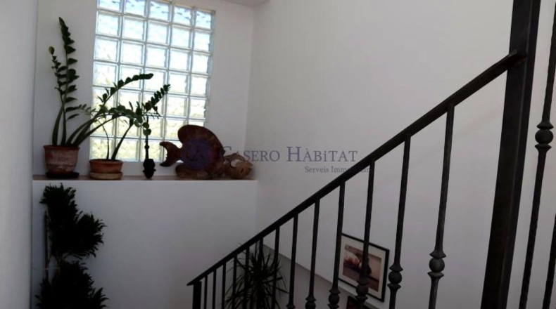 Alicante - Villajoyosa - 825m2