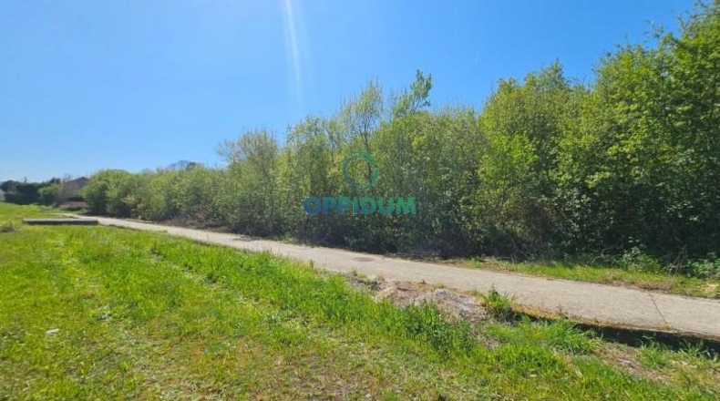 La Coruña - San Roque - 6344m2