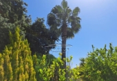 Chalet independiente con terreno en venta en la España, Iznájar, ref: TR242546 foto