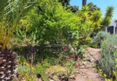 Chalet independiente con terreno en venta en la España, Iznájar, ref: TR242546 foto