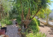 Chalet independiente con terreno en venta en la España, Iznájar, ref: TR242546 foto