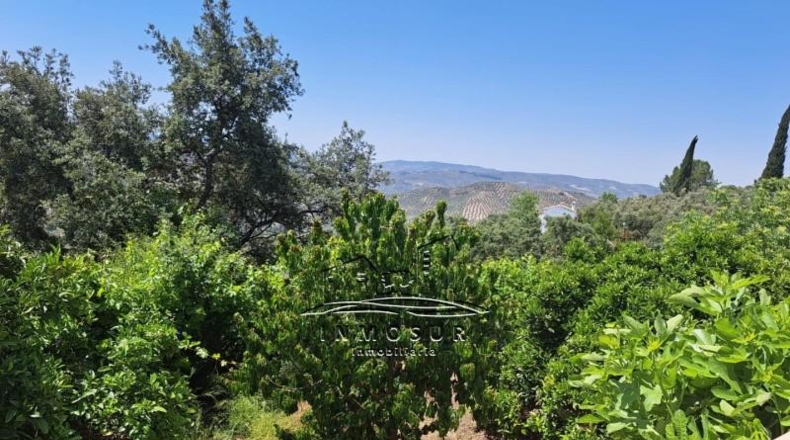 Córdoba - Iznájar - 1545m2