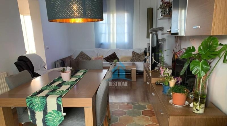 Valencia - Ribarroja del Turia - 500m2