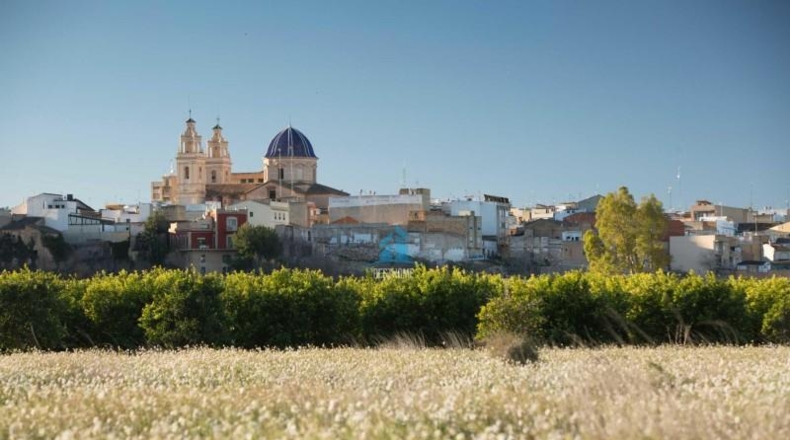 Valencia - Ribarroja del Turia - 500m2