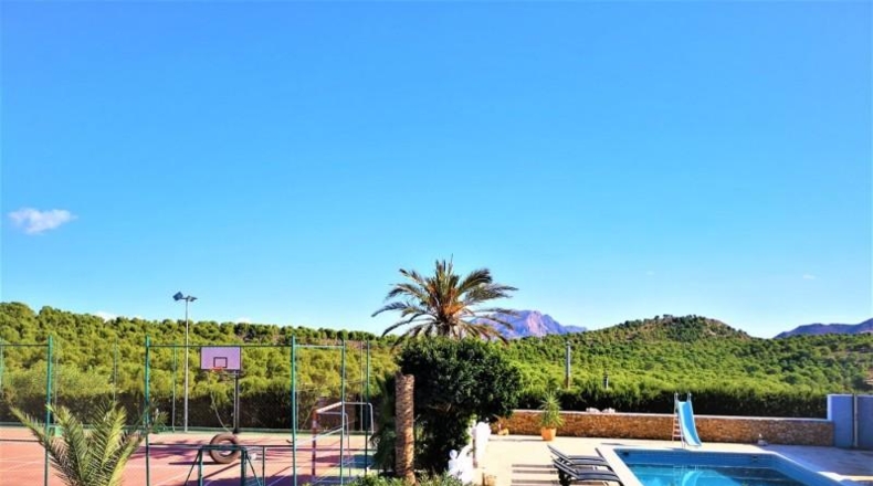 Murcia - Murcia - 5000m2