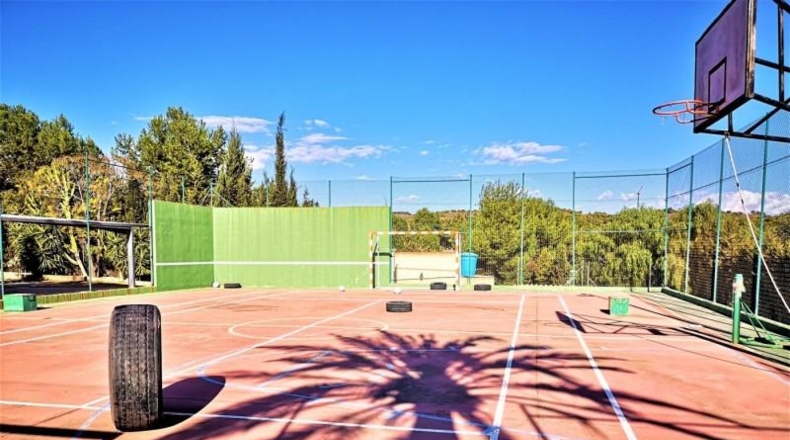 Murcia - Murcia - 5000m2