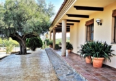 Chalet independiente con terreno en venta en la España, Murcia, ref: TR158260 foto