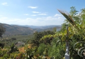Xalet independent amb terreny en venda a la España, Iznájar, ref.: TR235646 foto