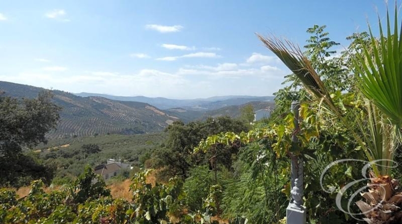 Córdoba - Iznájar - 1545m2