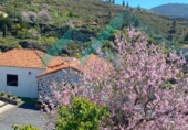 Casa de camp amb terreny en venda a la España, Guía de Isora, ref.: TR376516 foto