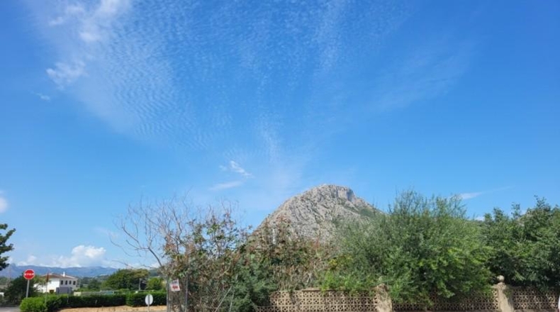 Alicante - Vergel - 4060m2