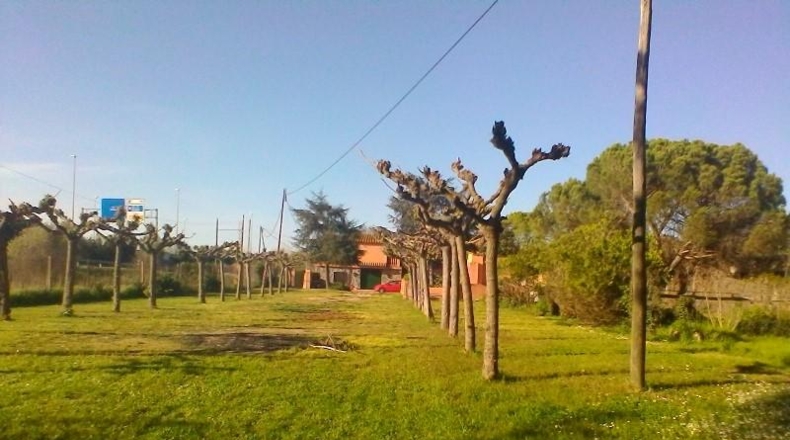 Gerona - Riudellots de la Selva - 3503m2