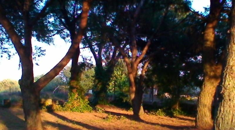 Gerona - Riudellots de la Selva - 3503m2
