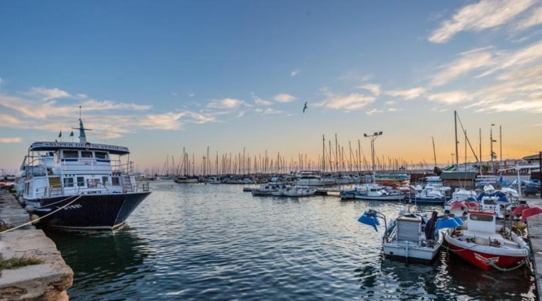 Alicante - Torrevieja - 400m2
